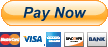 PayNow